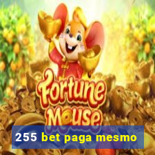 255 bet paga mesmo